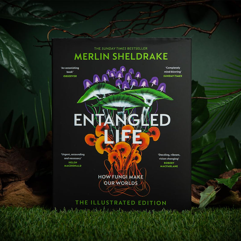 Entangled Life: How Fungi Make Our Worlds, Change Our Minds and Shape Our Futures