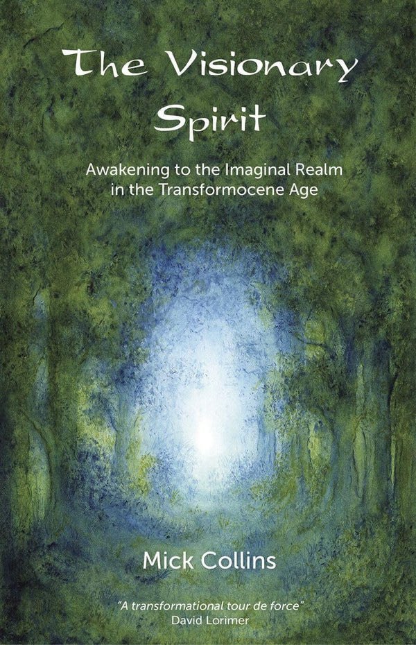 Visionary Spirit: Awakening to the Imaginal Realm in the Transformocene Age