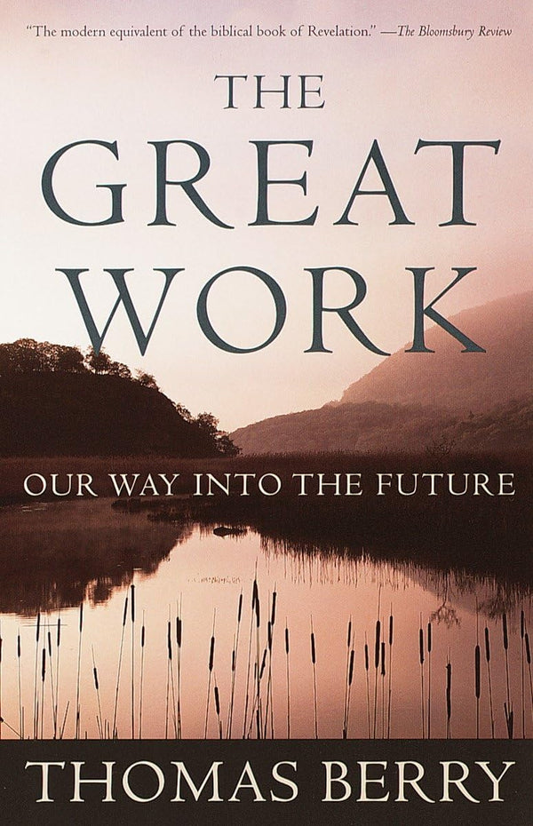 The Great Work: Our Way into the Future